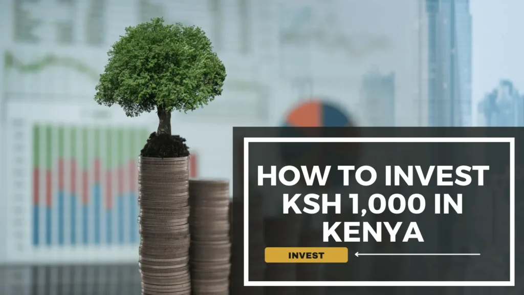 How to Invest Ksh 1000 in Kenya
